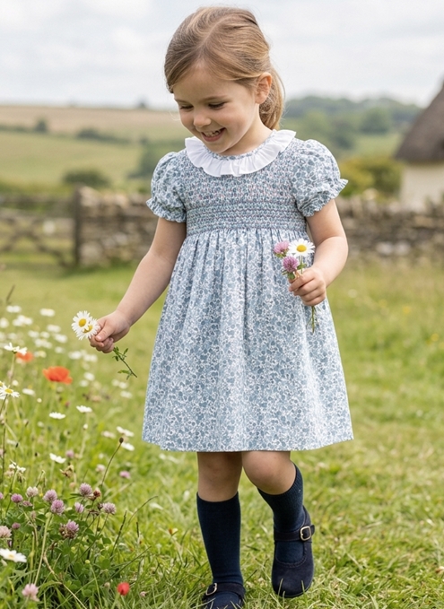 paris dress blue print